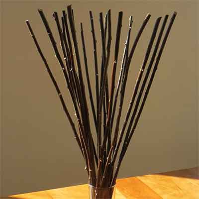 Willow Sticks