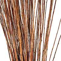 Natural Asian Willow Branches