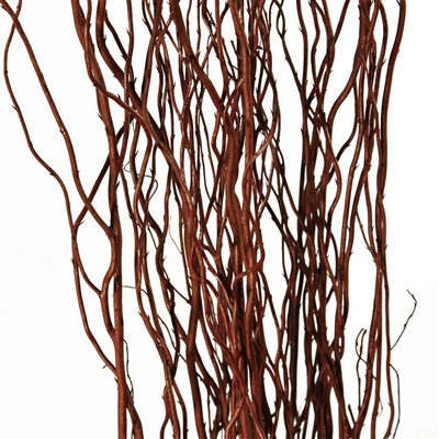 Curly Willow Branches - Brown
