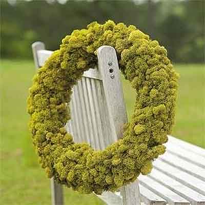 Reindeer Moss Wreath - Chartreuse 21"