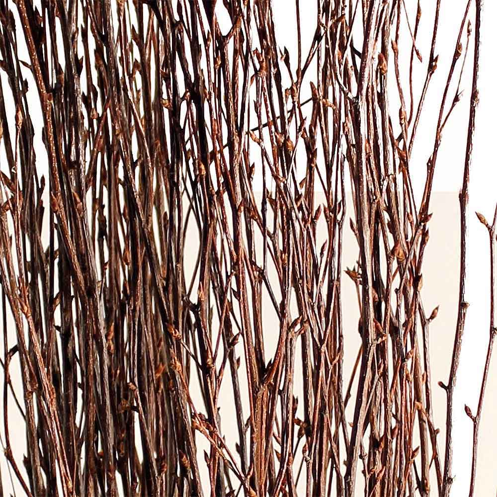 Birch Branches - Natural - 20-25 Branches