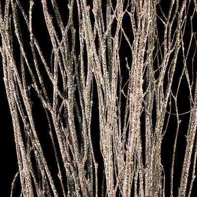 White Sparkle Birch Branches