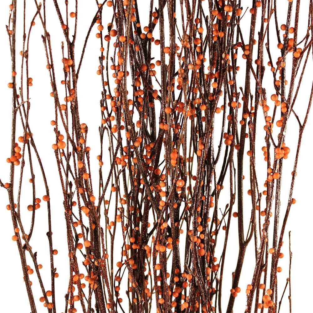 Decorative Branches  Bittersweet Birch Branches