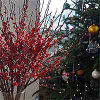Winterberry Branches, 24-30"
