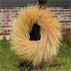 Golden Wheat Wreath 26"