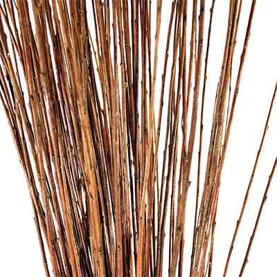 Natural Asian Willow Branches