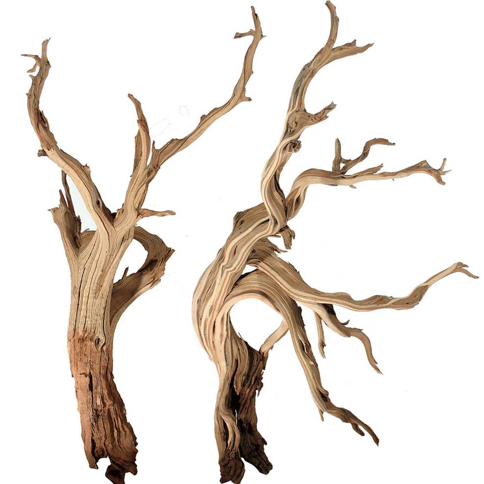 mountain-driftwood-branches-2.jpg