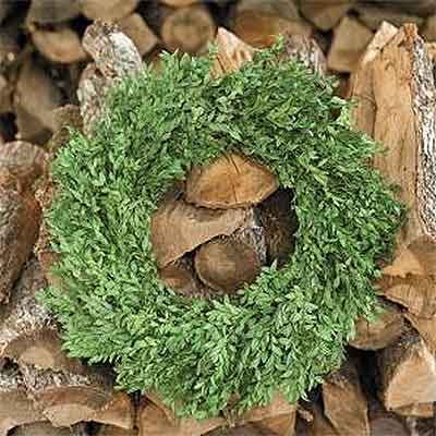 Boxwood Wreath 22"
